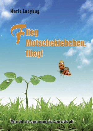 Flieg Motschekiebchen, flieg!